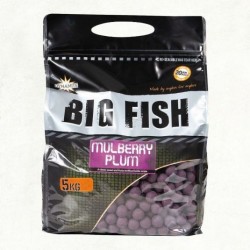 Dynamite Baits Boilies Big Fish Mulberry Plum 20mm/5kg