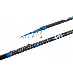 Lanseta bolognesa Delphin Xenox 5m/30g