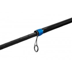 Lanseta bolognesa Delphin Xenox 5m/30g