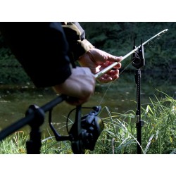 Mulineta Delphin AMOX 5T DP