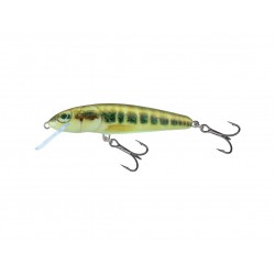 Vobler SALMO M6F Minnow – Nalucă Floating Versatilă pentru Pescuit Predator